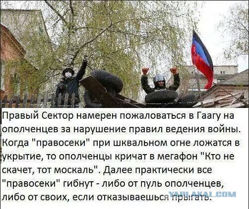 Два месяца на востоке Украины