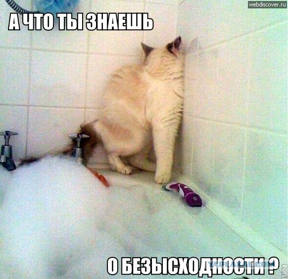 И от нее нигде не спрятаться, не скрыться...