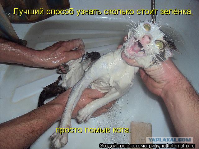 Плюсомет со шпалометом