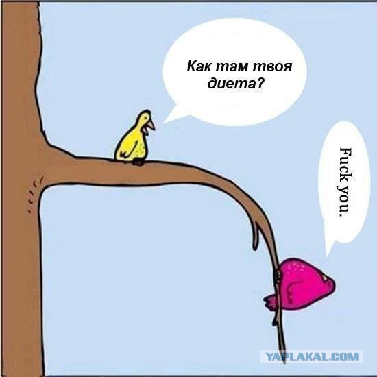 Для тех кто не может сбросить вес