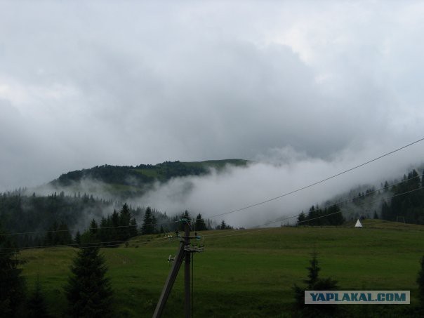 "Мои" Карпаты