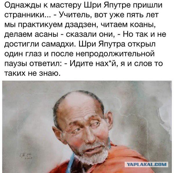 Фриланс и Дзен