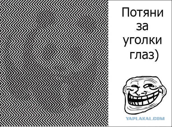 Забавные картинки из интернетов