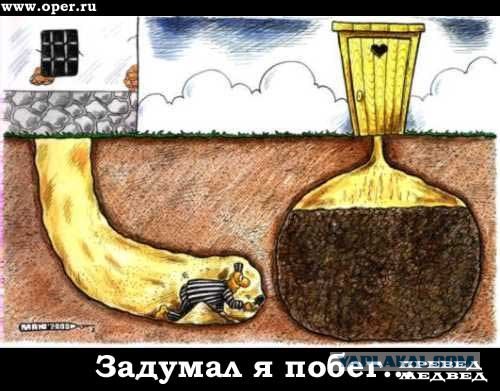 Оптимизма пост