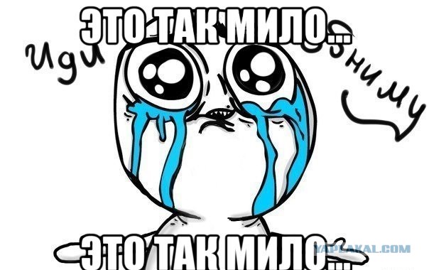 Перемирие кончилось, едва начавшись.