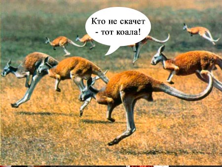 Как там Австралия?