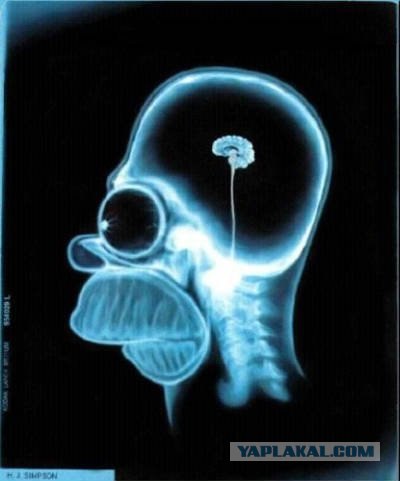 Творческие пингвины