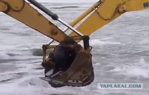 Началось строительство моста через Керченский пр.