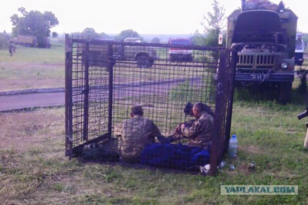 Гауптвахта в полевых условиях