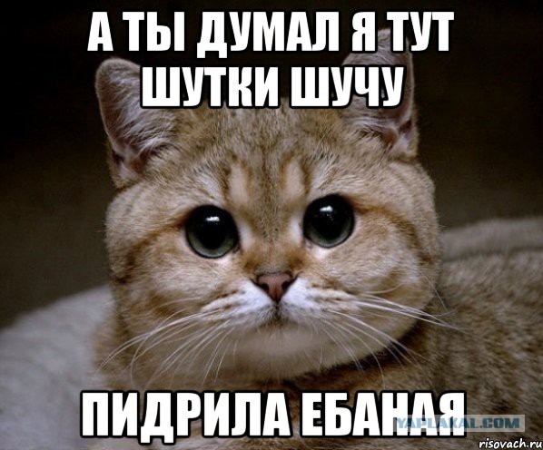 Сам ты Ми Ми Ми.