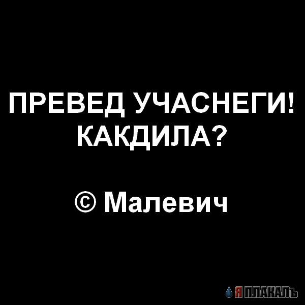 Превед медвед!
