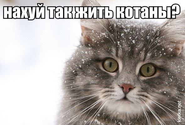 Работает с 11 лет чтобы попасть в ВУЗ