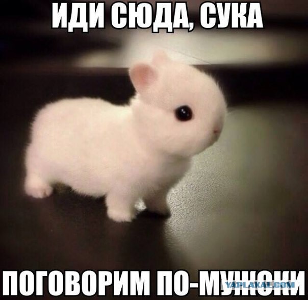 Абсурдный юмор ч.7