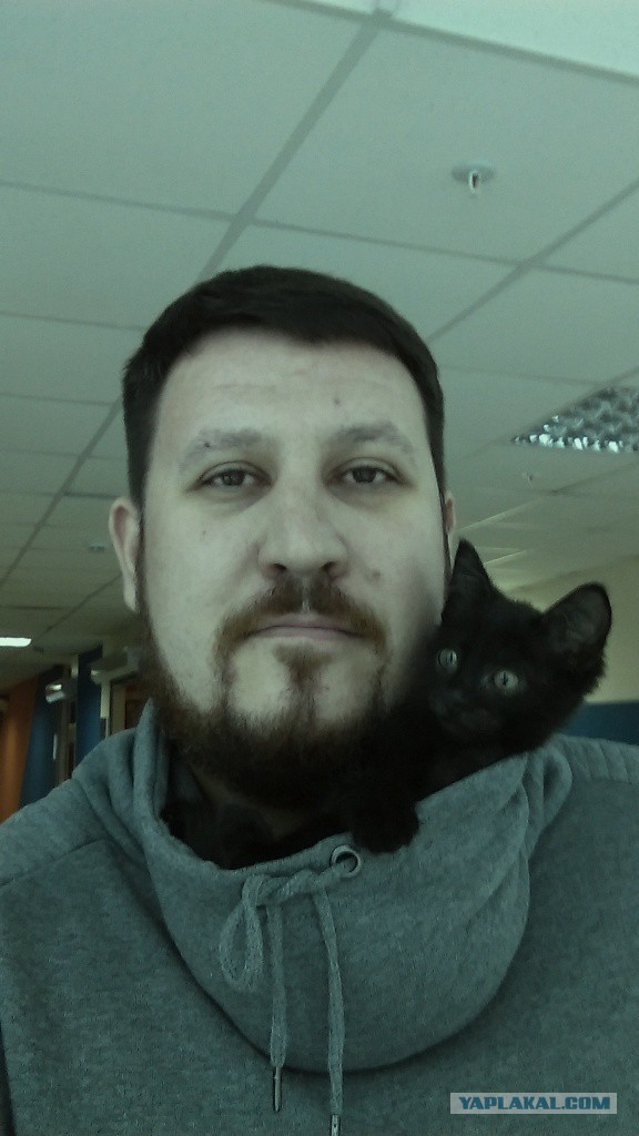 Мимимишности пост