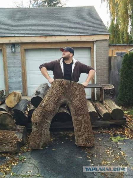 Картинки из сети, подборка