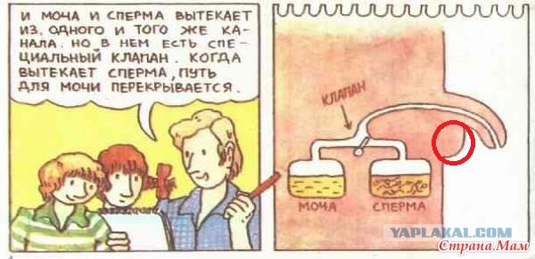 Сперма прикол Книжные маразмы и приколы - ЯПлакалъ