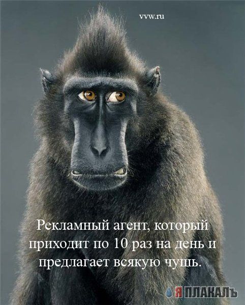 Офис в лицах (15 фото)