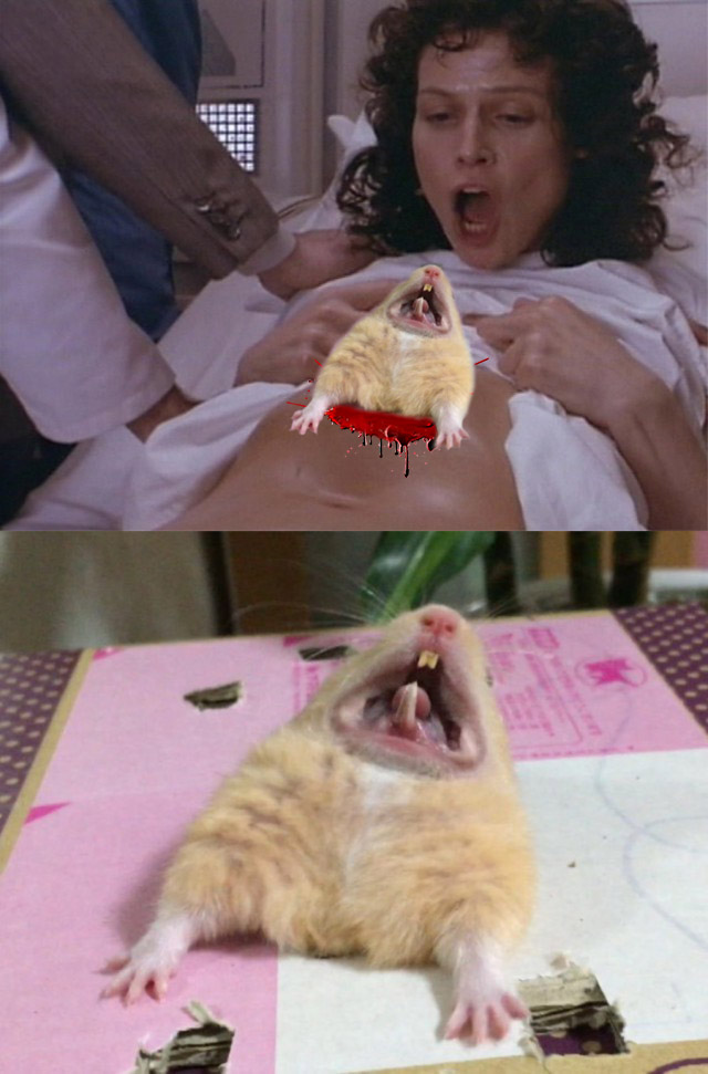 "Это все потому, что кто-то слишком много ест!"