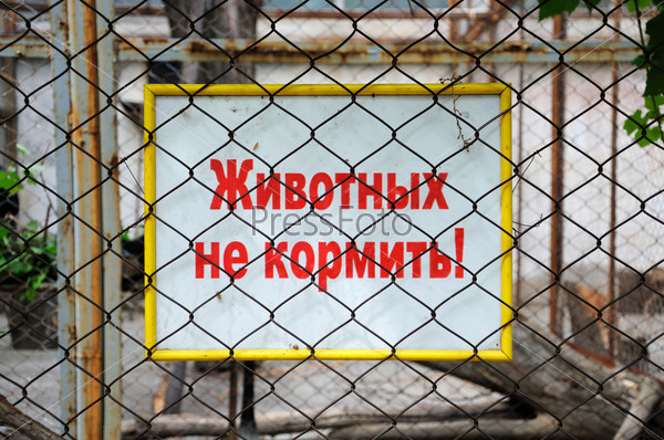 Животных не кормить!