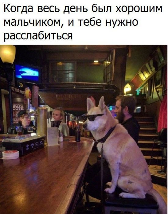 Подборка интересных и веселых картинок
