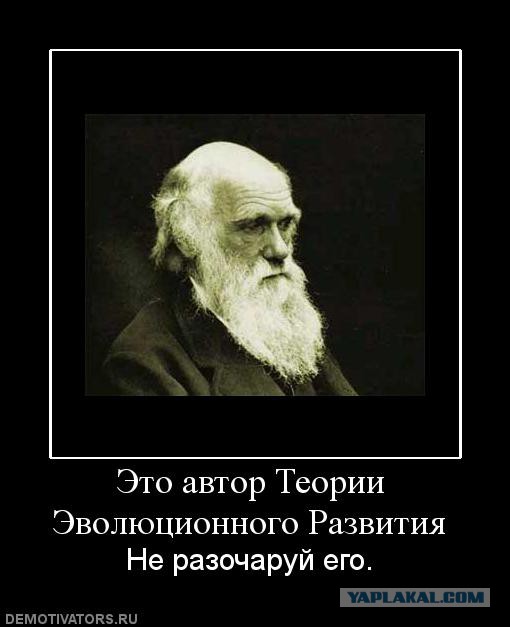 "Ток не в моём падике помирай"