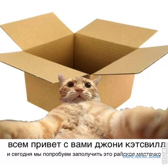 Если нынешний у бывшей мент