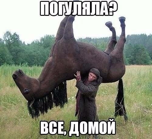 Просто юмор 7