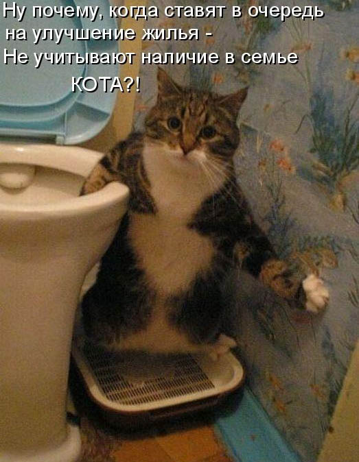 Деградашки на пятницу