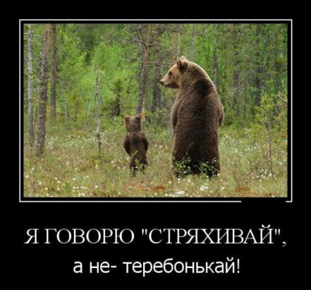 Глазки от работы отрывайте, на картинки повтыкайте!