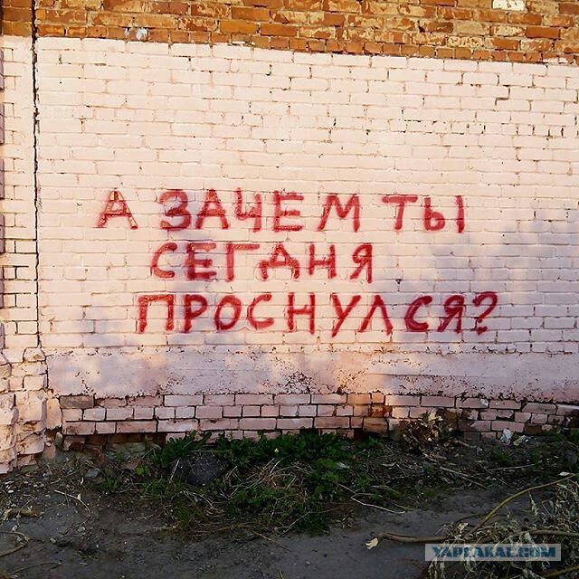 Фотоподборка из серии "Говорит стена"