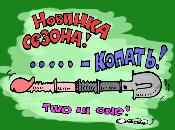 А у вас как день проходит?