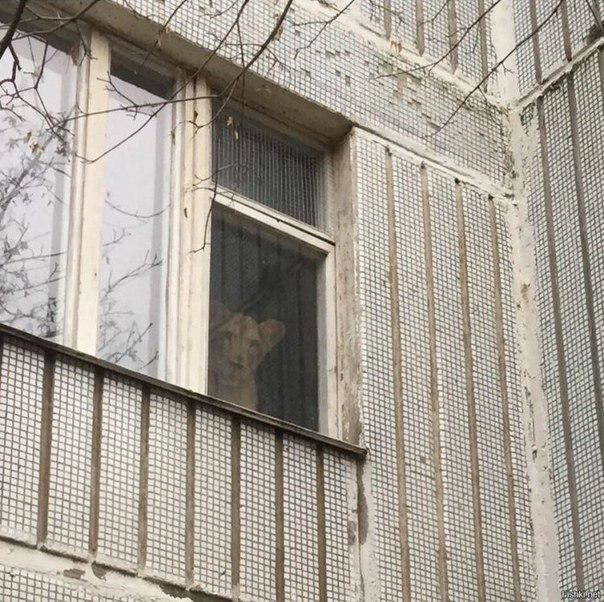 Картинки понедельника