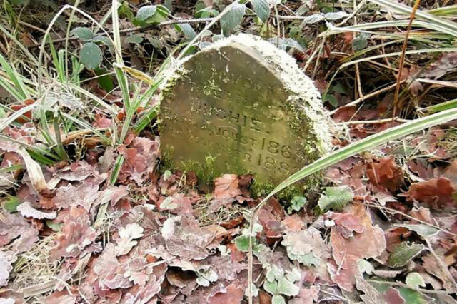 Британец нашёл в лесу 130-летнюю могилу. В ней похоронен не человек, а... кролик