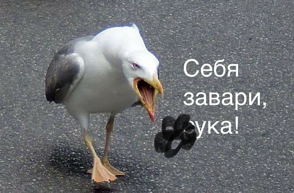 Ещё кто-то так делает или я один такой?