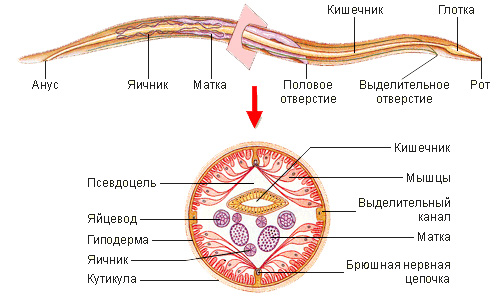 Случай в китайском госпитале
