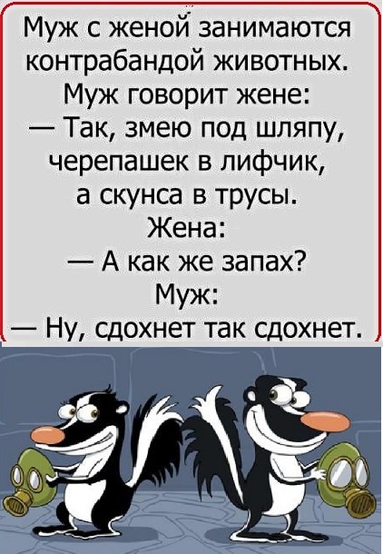 13049894.jpg