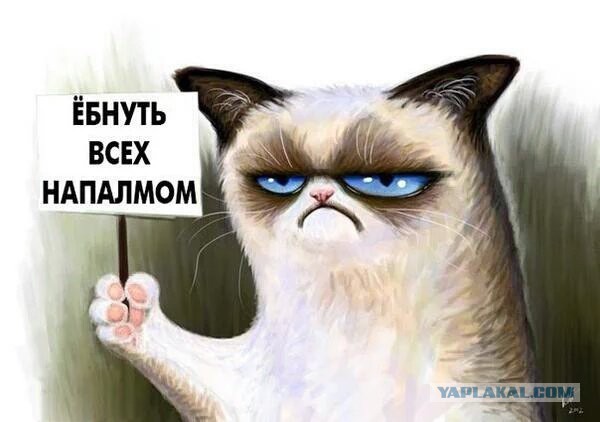 В сочинском аэропорту массово увольняют армян