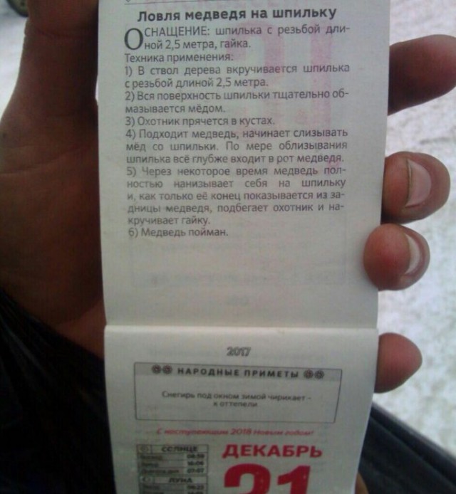 Применим физику в постели или белка и стрелка. Картинки