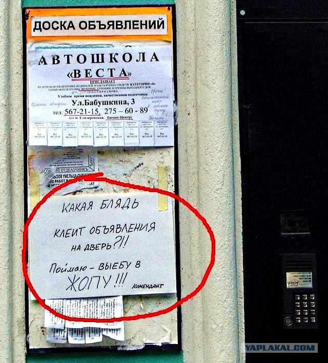 Касается и собачников
