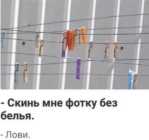 Кретинки