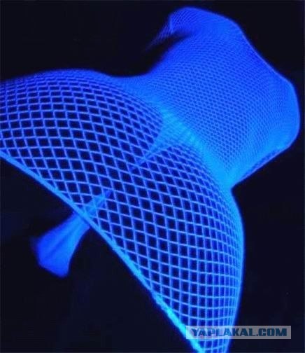 Реклама, такая реклама