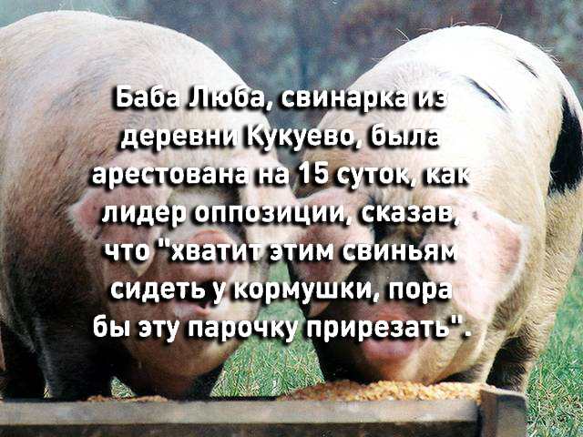 Осужденного за фразу о «сказочном» Путине вновь будут судить за неуважение к власти