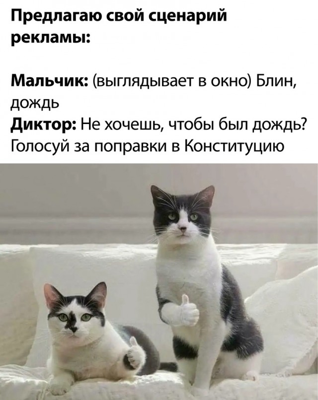 Голосуем ЗА