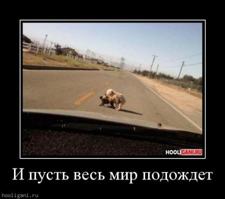 Очень пошлые картинки про это.18+