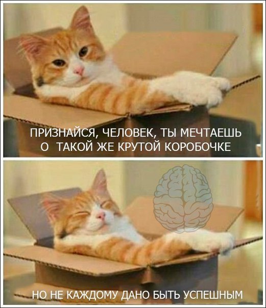 Немного картинок для настроения 118