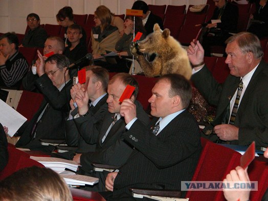 Маша-а-а!Аууууу!