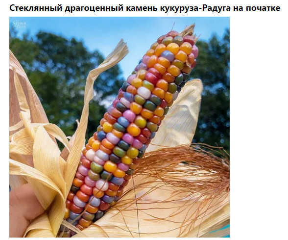 Фото-винегрет-3. Картинки ниапчём и обо всём