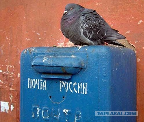 Почта России