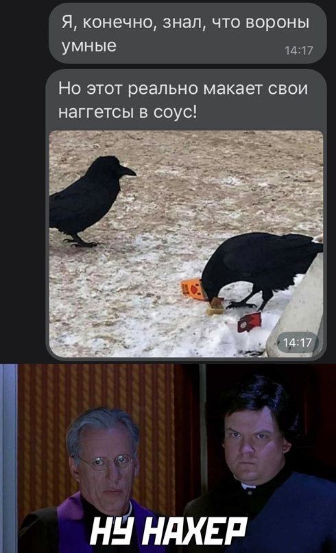 Весёлый полтишок 19.02