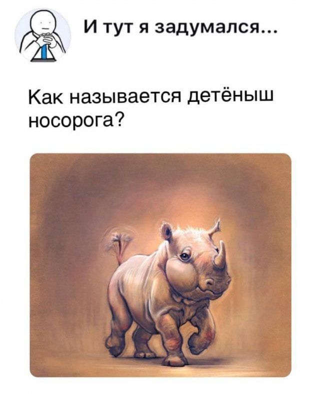 Картинки и мемы для настроения 23.08.2021